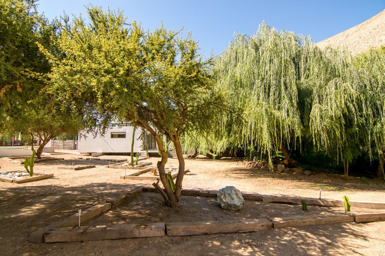 Aldea Del Valle - Elqui Villas, Pisco Elqui Exteriör bild