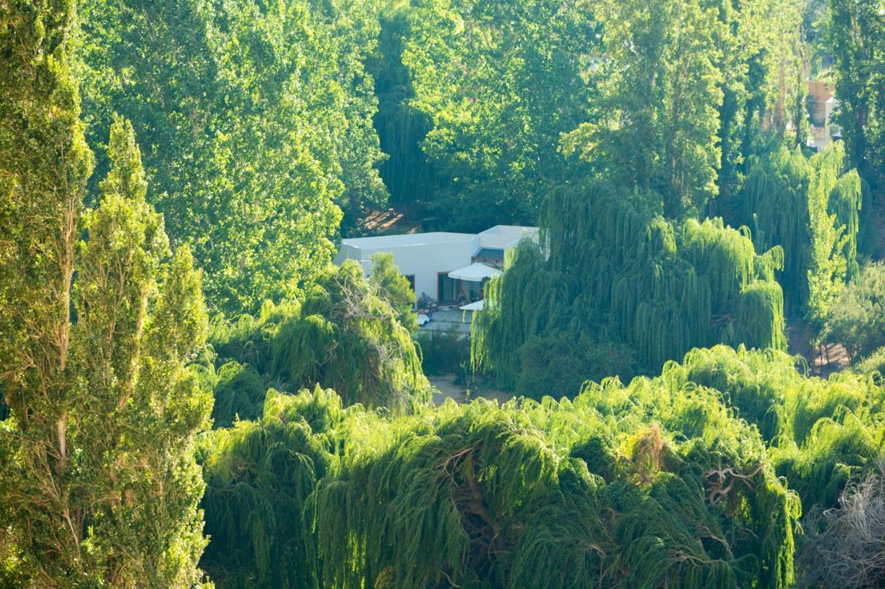Aldea Del Valle - Elqui Villas, Pisco Elqui Exteriör bild
